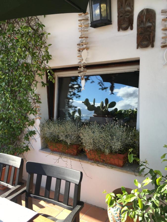 مبيت وإفطار سينِغاليا La Terrazza Sui Tetti المظهر الخارجي الصورة